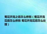 菊花开完之后怎么修剪（菊花开完花后怎么修剪 菊花开完花后怎么处理）