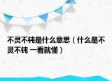 不灵不钝是什么意思（什么是不灵不钝 一看就懂）
