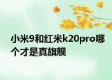 小米9和红米k20pro哪个才是真旗舰
