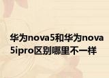 华为nova5和华为nova5ipro区别哪里不一样
