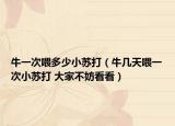 牛一次喂多少小苏打（牛几天喂一次小苏打 大家不妨看看）