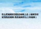 怎么把视频发到西瓜视频上去（视频怎样发到西瓜视频 西瓜视频怎么上传视频）