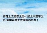 养花土太湿怎么办（盆土太湿怎么办 家里花盆土太湿该怎么办）