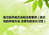 珠兰的养殖方法和注意事项（珠兰花的养殖方法 注意它的生长习性）