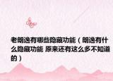 老朗逸有哪些隐藏功能（朗逸有什么隐藏功能 原来还有这么多不知道的）