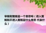 审核和复核是一个意思吗（进入复核和不进入复核是什么意思 代表什么）