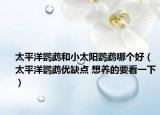 太平洋鹦鹉和小太阳鹦鹉哪个好（太平洋鹦鹉优缺点 想养的要看一下）