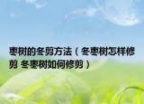 枣树的冬剪方法（冬枣树怎样修剪 冬枣树如何修剪）