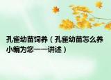 孔雀幼苗饲养（孔雀幼苗怎么养 小编为您一一讲述）