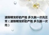 波斯顿龙虾的产地 多久脱一次壳正常（波斯顿龙虾的产地 多久脱一次壳）