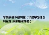 华晨宇是不是叫花（华晨宇为什么叫花花 原来是这样的）