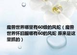 魔兽世界哪里有60级的风蛇（魔兽世界怀旧服哪有60的风蛇 原来是这里抓的）