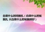 白菜什么时间捆扎（白菜什么时候捆扎 大白菜什么时候捆绑好）