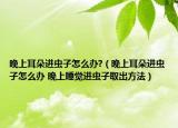 晚上耳朵进虫子怎么办?（晚上耳朵进虫子怎么办 晚上睡觉进虫子取出方法）