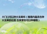 大门口可以种火龙果吗（围墙内最适合种火龙果的位置 在家里也可以种植哦）