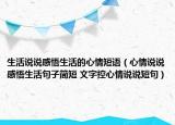 生活说说感悟生活的心情短语（心情说说感悟生活句子简短 文字控心情说说短句）