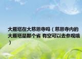 大雁塔在大慈恩寺吗（慈恩寺内的大雁塔是那个省 有空可以去参观哦）