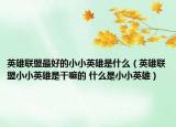 英雄联盟最好的小小英雄是什么（英雄联盟小小英雄是干嘛的 什么是小小英雄）