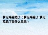 梦见鸡跑掉了（梦见鸡跑了 梦见鸡跑了是什么意思）