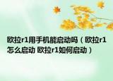 欧拉r1用手机能启动吗（欧拉r1怎么启动 欧拉r1如何启动）