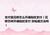 支付宝花呗怎么开通指纹支付（花呗怎样开通指纹支付 你知道方法吗）