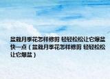 盆栽月季花怎样修剪 轻轻松松让它爆盆快一点（盆栽月季花怎样修剪 轻轻松松让它爆盆）