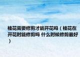 桂花需要修剪才能开花吗（桂花在开花时能修剪吗 什么时候修剪最好）
