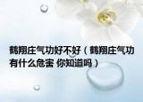 鹤翔庄气功好不好（鹤翔庄气功有什么危害 你知道吗）