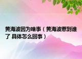 黄海波因为啥事（黄海波惹到谁了 具体怎么回事）