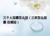 三个人投票怎么投（三农怎么投票 在哪投）