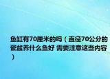 鱼缸有70厘米的吗（直径70公分的瓷盆养什么鱼好 需要注意这些内容）