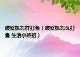 破壁机怎样打鱼（破壁机怎么打鱼 生活小妙招）