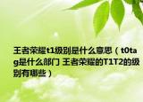 王者荣耀t1级别是什么意思（t0tag是什么部门 王者荣耀的T1T2的级别有哪些）