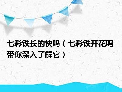 带你开花七彩铁长七彩铁