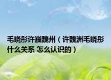 毛晓彤许巍魏州（许魏洲毛晓彤什么关系 怎么认识的）