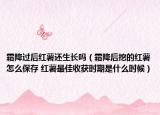 霜降过后红薯还生长吗（霜降后挖的红薯怎么保存 红薯最佳收获时期是什么时候）
