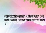 钓鲫鱼双钩钩距多大距离为好（钓鲫鱼钩距多少合适 钩距是什么意思）
