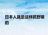 日本人就是这样抓野猪的