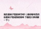 现在是梭子蟹的季节吗?（请问每年四月份是梭子蟹成熟时间吗 下面给大家讲解一下）