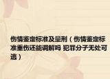 伤情鉴定标准及量刑（伤情鉴定标准重伤还能调解吗 犯罪分子无处可逃）