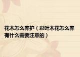 花木怎么养护（彩叶木花怎么养 有什么需要注意的）