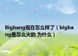 Bigbang现在怎么样了（bigbang是怎么火的 为什么）
