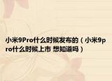 小米9Pro什么时候发布的（小米9pro什么时候上市 想知道吗）