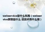 webservice是什么东西（webservice原理是什么 这技术有什么用）