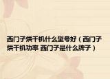 西门子烘干机什么型号好（西门子烘干机功率 西门子是什么牌子）
