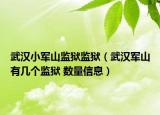 武汉小军山监狱监狱（武汉军山有几个监狱 数量信息）