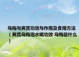 乌梅与黄芪功效与作用及食用方法（黄芪乌梅泡水喝功效 乌梅是什么）