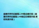 魔兽世界怀旧服猎人44级去哪升级（魔兽世界怀旧服猎人40级后在哪里升级 教你快速升级）