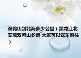 双鸭山到北海多少公里（黑龙江北安离双鸭山多远 大家可以驾车前往）