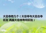 大悲寺有几个（大悲寺与大悲古寺区别 两座大悲寺有何区别）